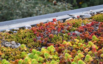 the cost of Longley green roof installation