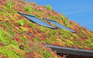 Longley living roof systems